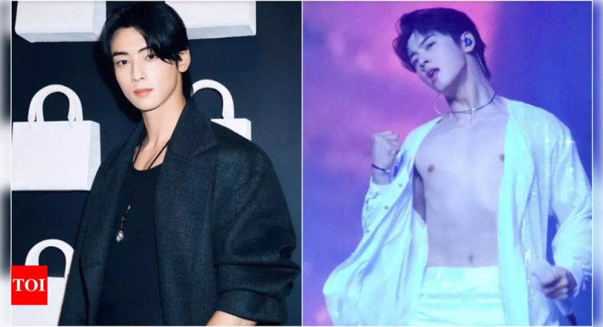 ASTRO's Cha Eun woo suffers wardrobe mishap in solo fan meeting; Fans find silver lining | K-pop Movie News