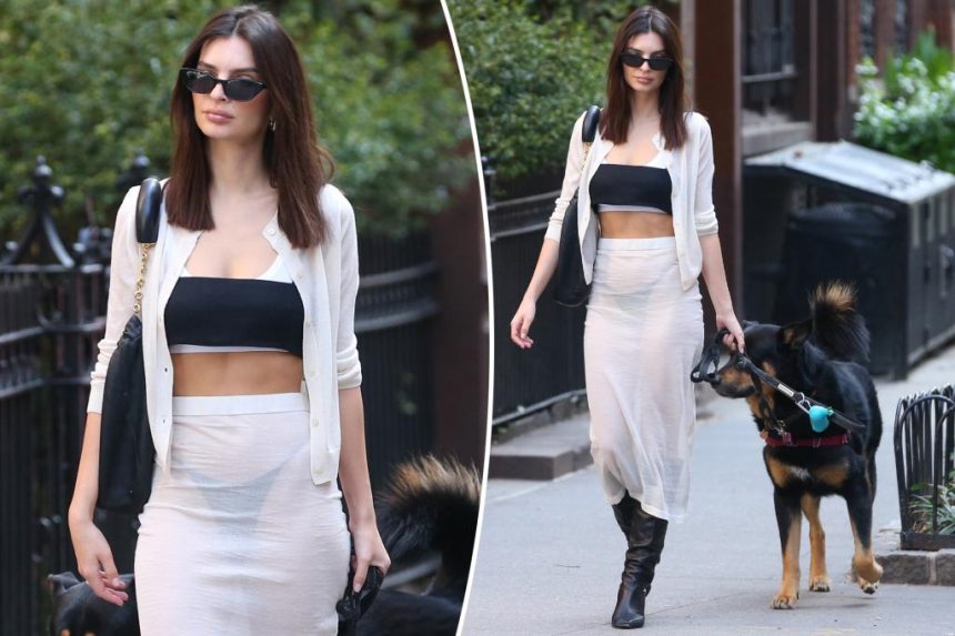 Emily Ratajkowski sports sheer skirt and crop top to walk dog in NYC