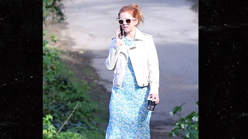 Isla Fisher Seen for the First Time After Sacha Baron Cohen Divorce News