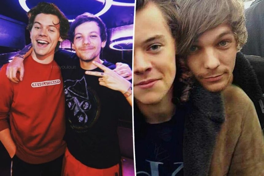 Louis Tomlinson says that Harry Styles romance rumors 'irritate' him