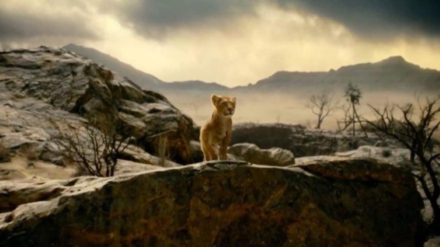 Mufasa: The Lion King's first teaser out at CinemaCon with Moana 2, Deadpool 3: Full Disney 2024 lineup | Hollywood