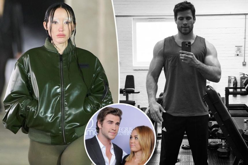 Noah Cyrus fights back after she's slammed for liking Liam Hemsworth's gym selfie