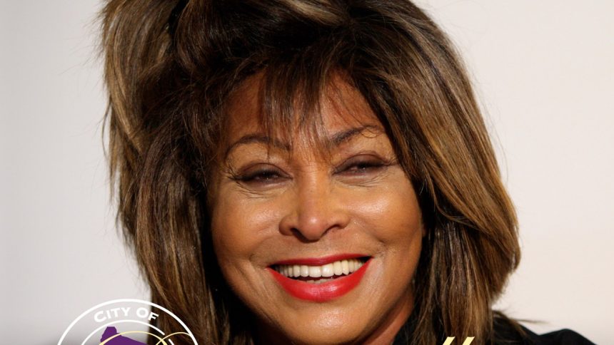 Tina Turner's Birthplace to Build Bronze Statue in Her Honor