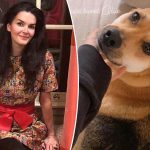 Angie Harmon sues Instacart, driver she claims shot dog