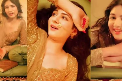 Harshaali Malhotra's Enchanting Rendition of Heeramandi's Song Takes the Internet by Storm |