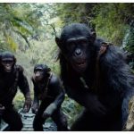 'Kingdom of the Planet of the Apes’ fails to cross Rs 20 crore mark on second Friday | English Movie News