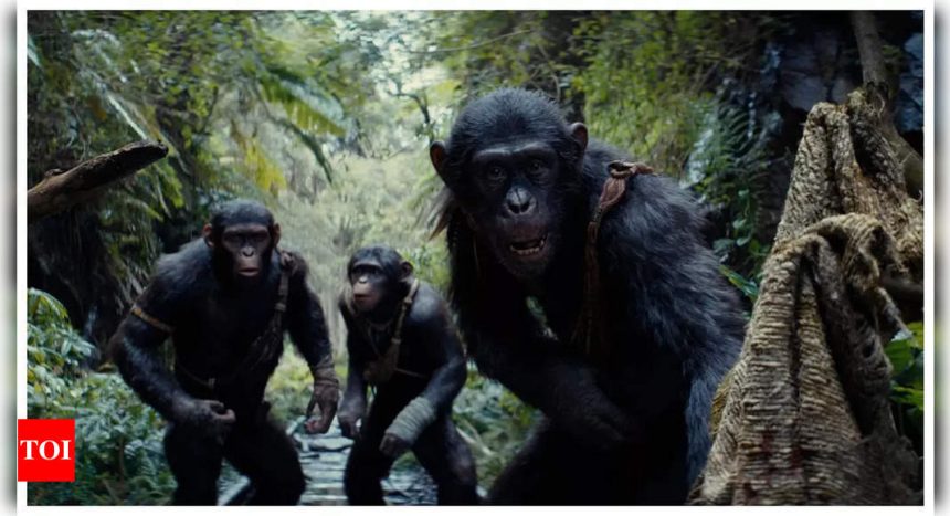 'Kingdom of the Planet of the Apes’ fails to cross Rs 20 crore mark on second Friday | English Movie News