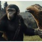 'Kingdom of the Planet of the Apes' set the cash registers ringing on Thursday night with US $ 5 million coming from preview shows | English Movie News