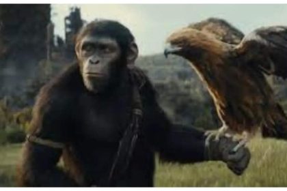 'Kingdom of the Planet of the Apes' set the cash registers ringing on Thursday night with US $ 5 million coming from preview shows | English Movie News