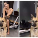 Ananya Panday begins her Sunday morning with a fun Pilates session with her furry friend; See pics | Hindi Movie News