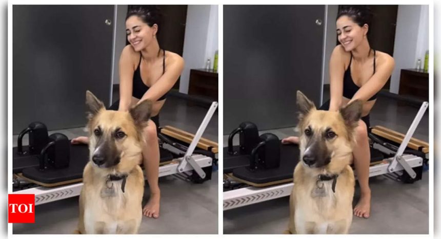 Ananya Panday begins her Sunday morning with a fun Pilates session with her furry friend; See pics | Hindi Movie News