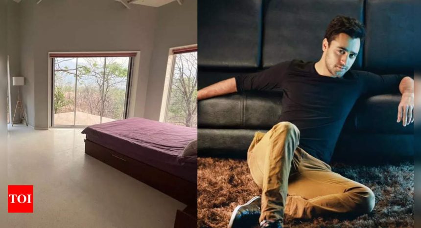 Imran Khan has a befitting reply to a user questioning him from where did he get money to make a self-designed house - See inside | Hindi Movie News