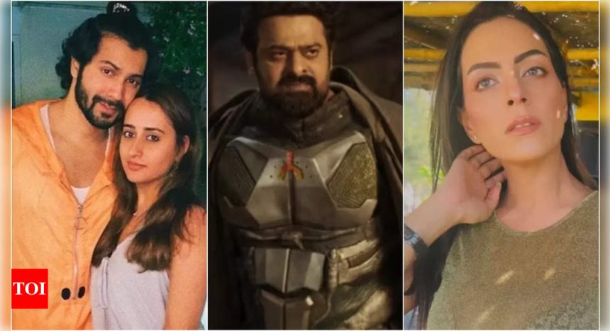 Kalki 2898 AD Trailer, Noor Malabika Das found dead, Varun-Natasha to rent Hrithik's house: TOP 5 Entertainment News of the day | Hindi Movie News