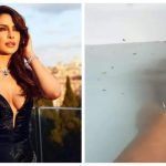 Priyanka Chopra sets the internet on fire with a steamy bathtub video |