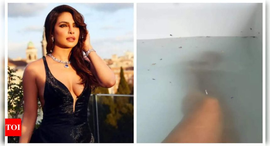 Priyanka Chopra sets the internet on fire with a steamy bathtub video |