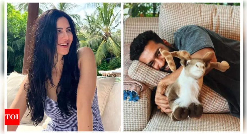 Katrina Kaif turns photographer for husband Vicky Kaushal as they spend a 'lazy Sunday' together - See inside |