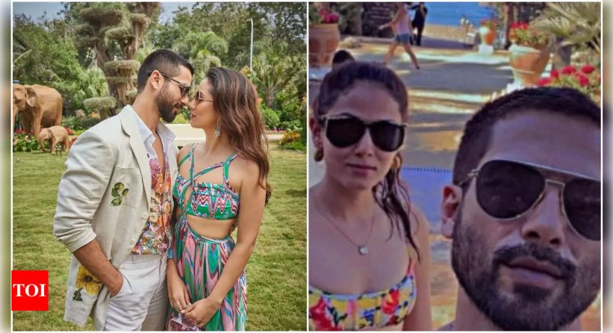 Shahid Kapoor and Mira Rajput's dreamy beach selfie will make you pack your bags! - See post | Hindi Movie News