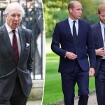 Feuding brothers Prince William, Prince Harry 'kept their distance' at uncle's funeral