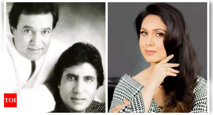 Meenakshi Seshadri reveals Rajesh Khanna and Shatrughan Sinha weren't egotistical; recalls over-rehearsing with Amitabh Bachchan |