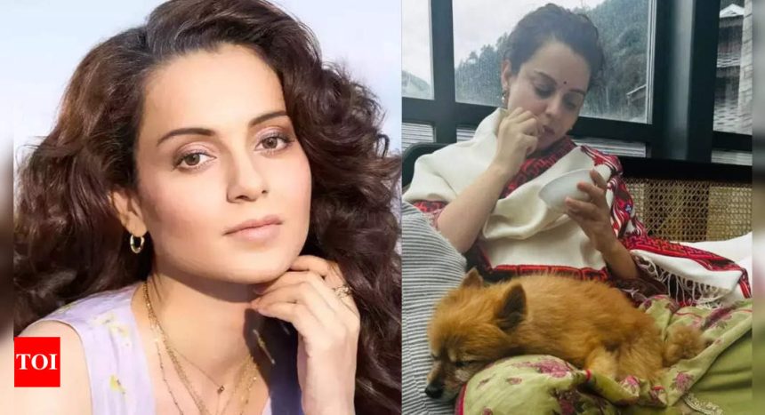 Kangana Ranaut is back home and shares a cozy PIC with her pet dog: "Mandi ki Beti, Mandi mein” | Hindi Movie News