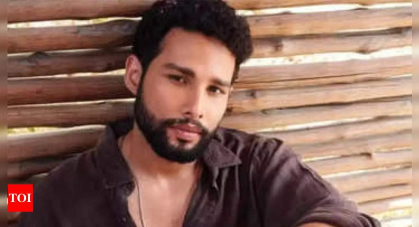 Siddhant Chaturvedi Reveals His Desire to Star in 'Don 3' |