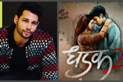 Siddhant Chaturvedi reveals he kept insisting Karan Johar before bagging 'Dhadak 2': 'There is no shame in asking for work' |