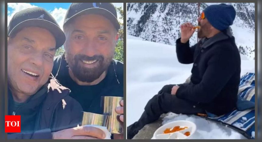 Sunny Deol has drinks with dad Dharmendra; enjoys parathas and jalebis in snow; brother Bobby Deol reacts - WATCH video |