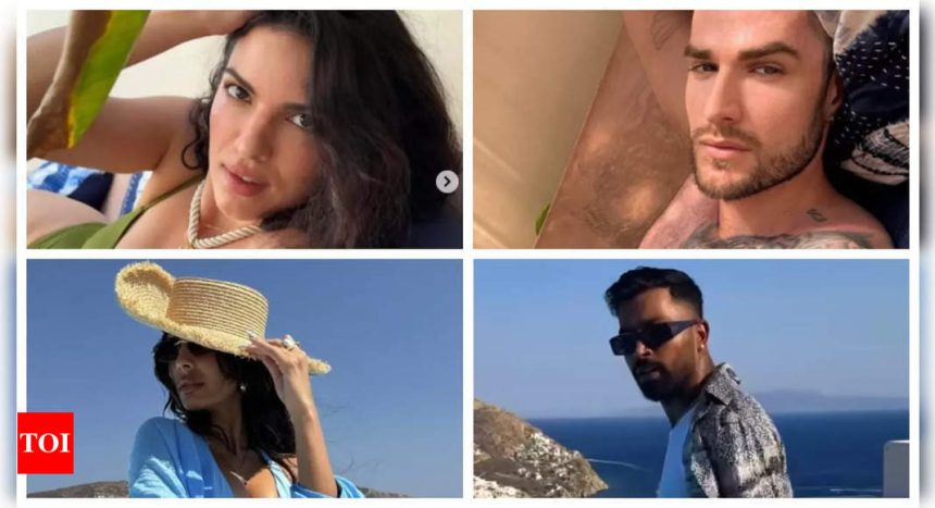 Did Natasa Stankovic and Aleksandar Alex take a dig at Hardik Pandya's rumoured romance with Jasmin Walia with their pool pics? |