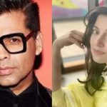 Karan Johar shares a cryptic post for the 'fools' after Divya Khossla Kumar took a dig at Alia Bhatt's 'Jigra' |