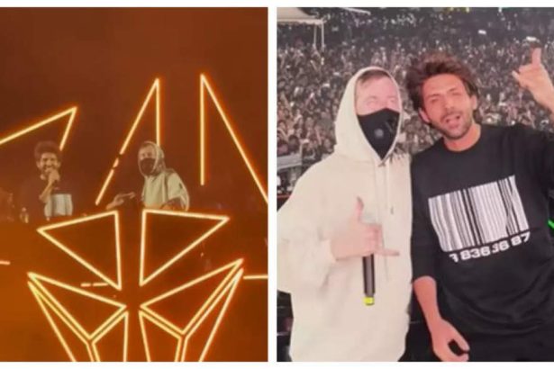 Kartik Aaryan treats fans with his surprise appearance at Alan Walker's show in Mumbai; grooves to 'Bhool Bhulaiyaa 3' title track - WATCH video |