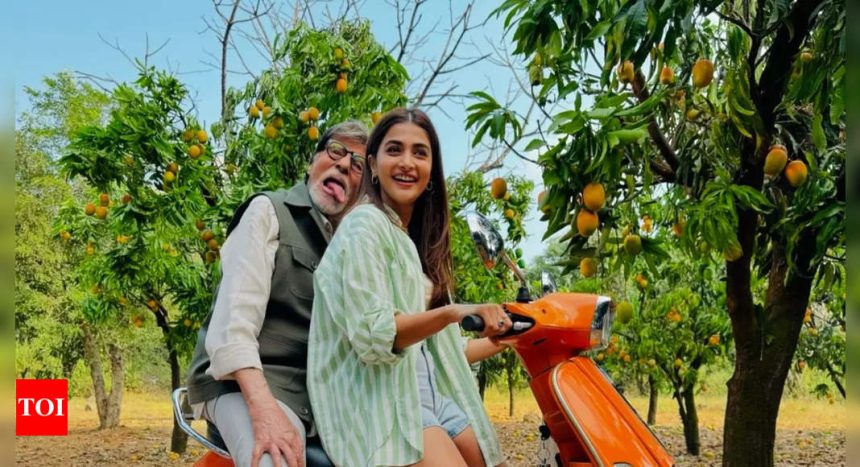 Pooja Hegde shares Amitabh Bachchan’s ‘cuteness overloaded’ photo on his 82nd birthday; fans can’t stop gushing - See inside