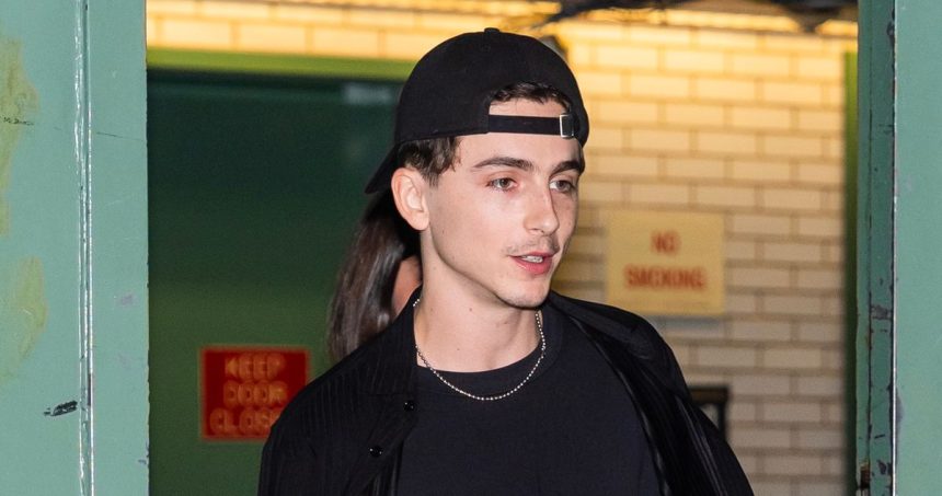 Timothée Chalamet Showed Up to his own Lookalike Contest