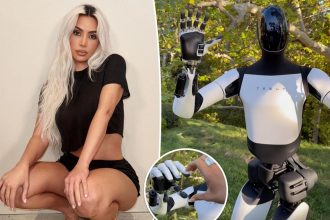 Fans react after single Kim Kardashian hangs out with Tesla robot