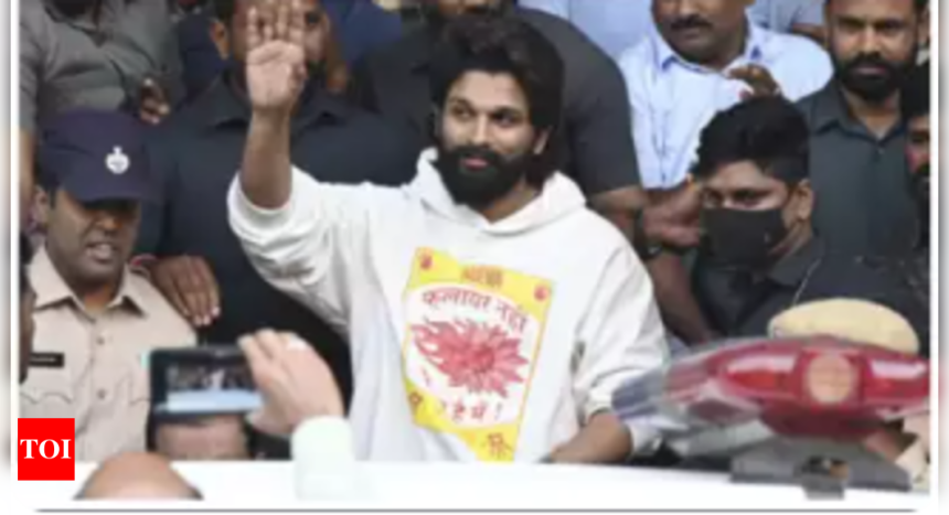 Allu Arjun stampede case: Decision on counter police affidavit opposing the bail pushed to January 3 | Telugu Movie News