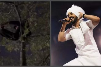 Diljit Dosanjh's Chandigarh concert becomes a Chamkila tribute as fans climb trees to get a glimpse; Imtiaz Ali REACTS - See post |