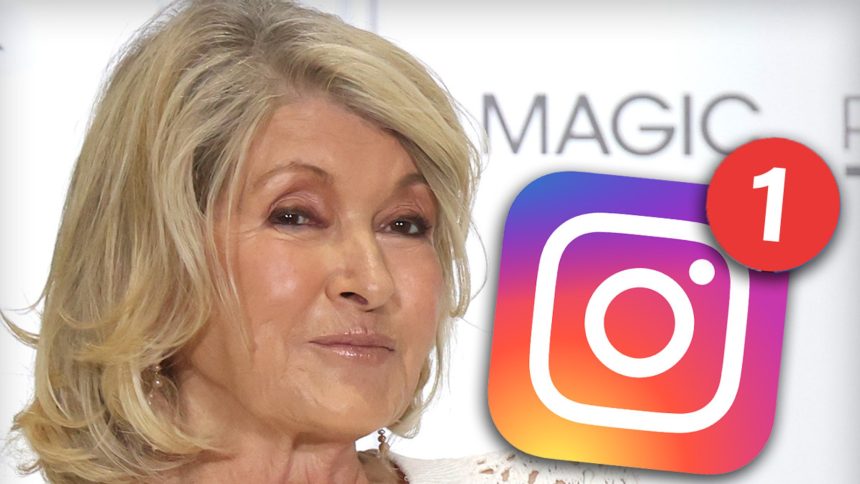 Martha Stewart Admits She Doesn't Know How to Access DMs on Social Media