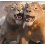 'Mufasa: The Lion King' box office collection Day 11: Shah Rukh Khan voiced adventure drama takes a bite out of ‘Baby John’ on Monday with a business of 5.4 crores in India |