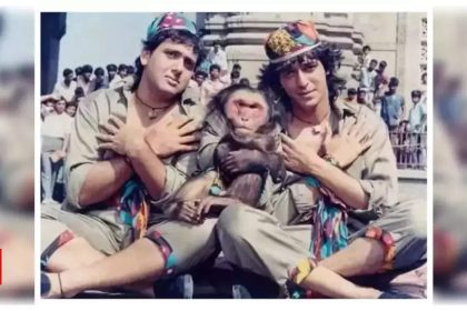 Not Chunky Panday or Govinda but the monkey was paid more in David Dhawan's ‘Aankhen’ |