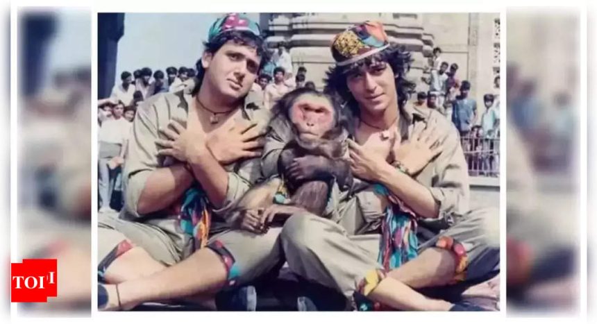 Not Chunky Panday or Govinda but the monkey was paid more in David Dhawan's ‘Aankhen’ |