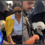 Shah Rukh Khan, Gauri and AbRam return to Mumbai with Suhana Khan and Agastya Nanda after their Alibaug getaway; don't miss cute poodle in SRK's hands |