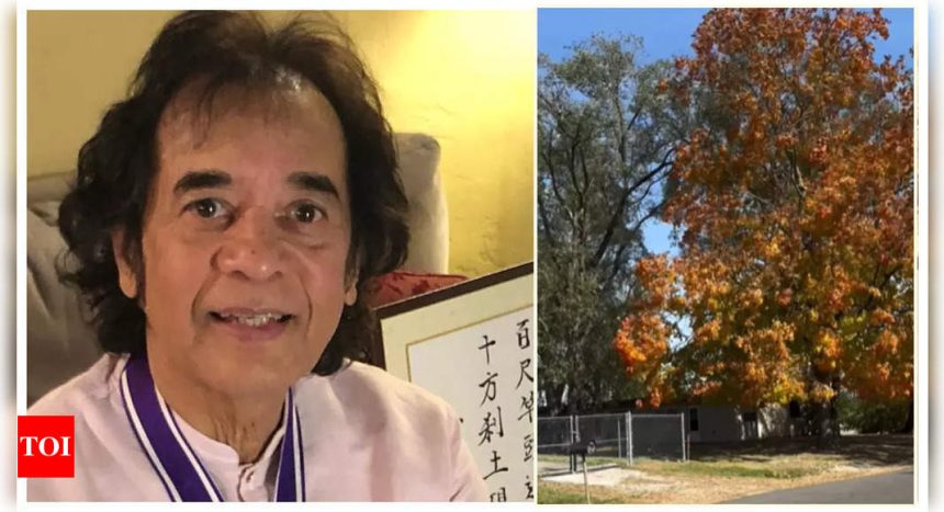 Zakir Hussain’s FINAL Insta post goes viral; fans say 'Your skill and your work will be remembered for centuries' |