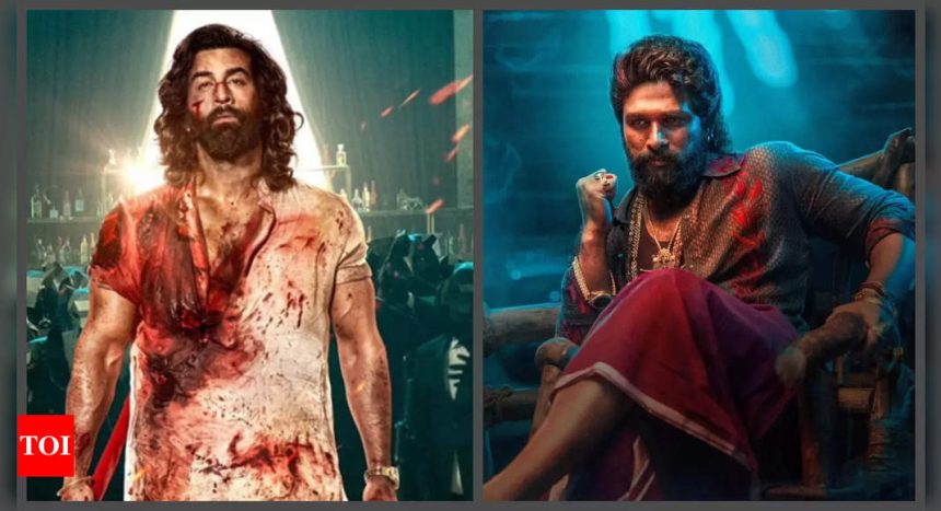 Fans speculate Ranbir Kapoor's Animal Park and Ramayana will beat Allu Arjun's Pushpa 2; some even root for Shah Rukh Khan's 'King |