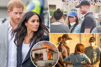 Prince Harry, Meghan Markle spotted helping LA wildfire victims