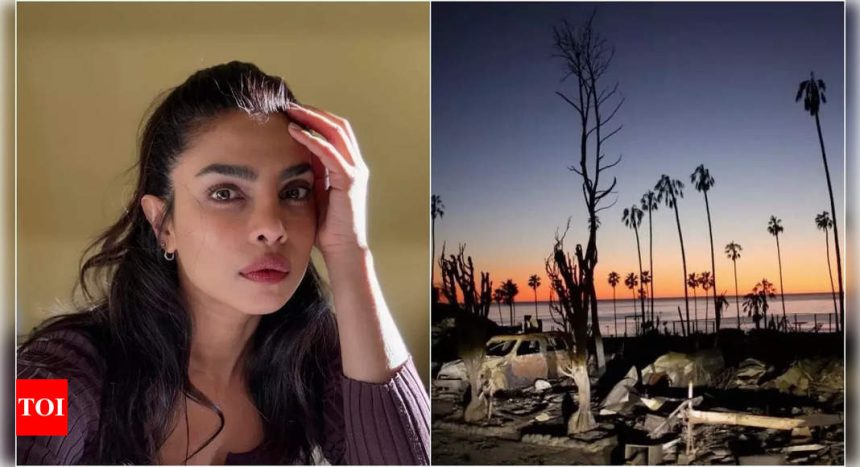 Priyanka Chopra Jonas expresses heartbreak as Palisades fire wreaks havoc across Los Angeles: 'While I’m deeply grateful for my family’s safety, my heart is heavy'