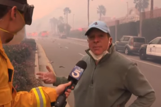 Steve Guttenberg Helped Move Cars in Pacific Palisades Fire