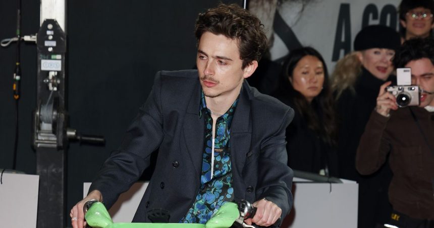 Was Timothée Chalamet Fined for Riding Lime Bike in London?