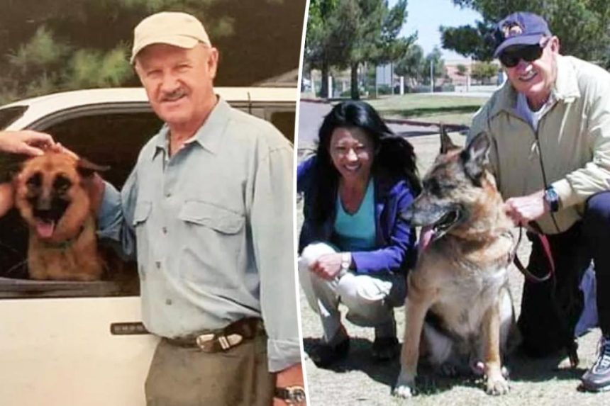 Gene Hackman's dog likely died of starvation and dehydration, showed partial mummification, report says