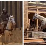 Vicky Kaushal’s BTS video riding REAL horse on Chhaava set goes viral after ‘fake horse’ claim - WATCH |